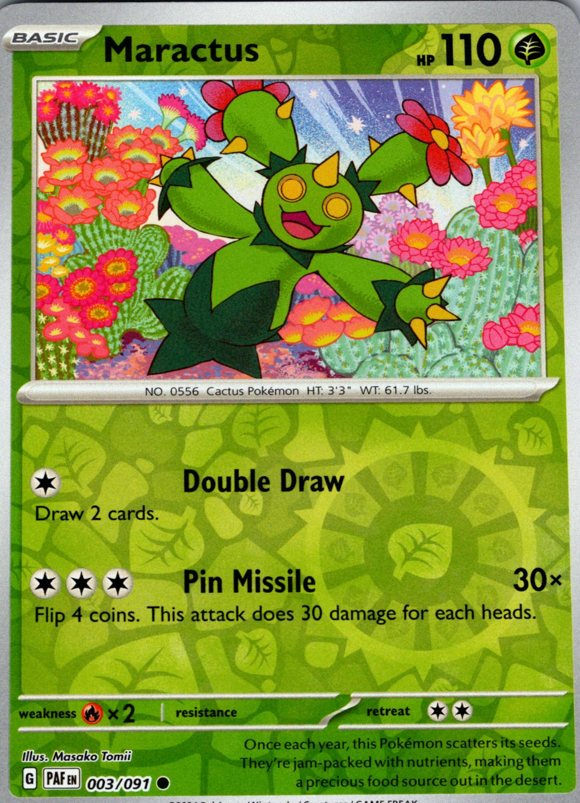 Maractus